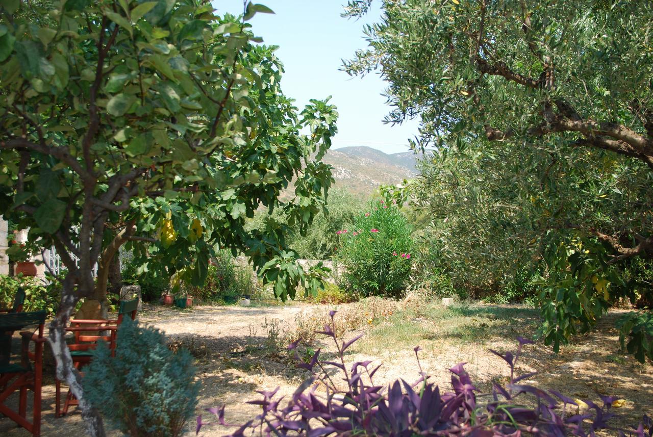 Hotel Anatoli Labreon à Agia Marina  Extérieur photo