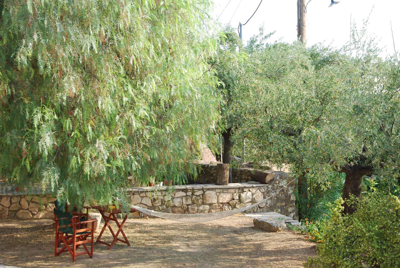 Hotel Anatoli Labreon à Agia Marina  Extérieur photo
